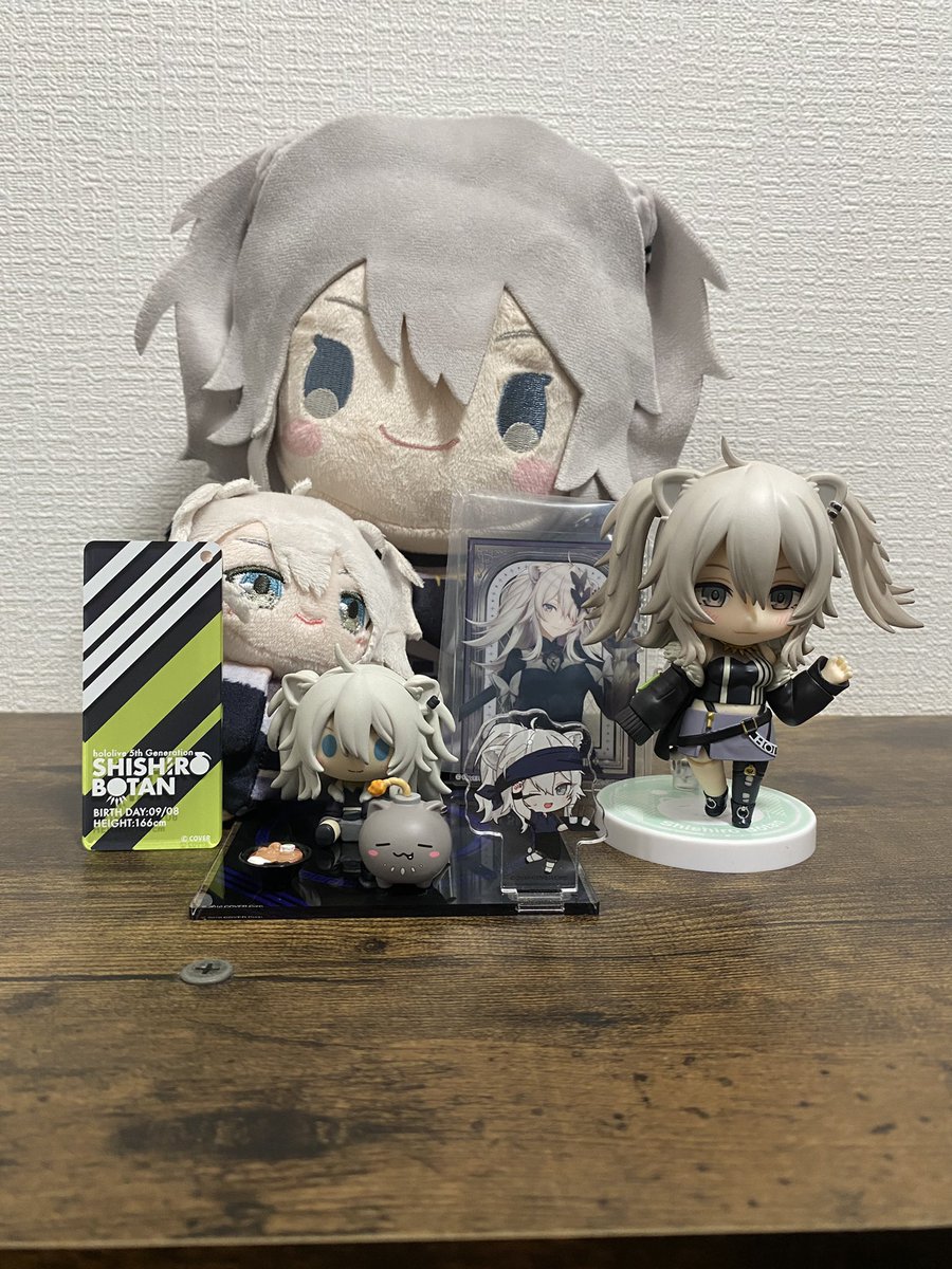 ibu_chan_ROM's tweet image. このグッズ量でSSRB名乗るの恥ずかしいですが、ほかにもししろんのオススメグッズあれば教えてください😢

#SSRB
#しし論