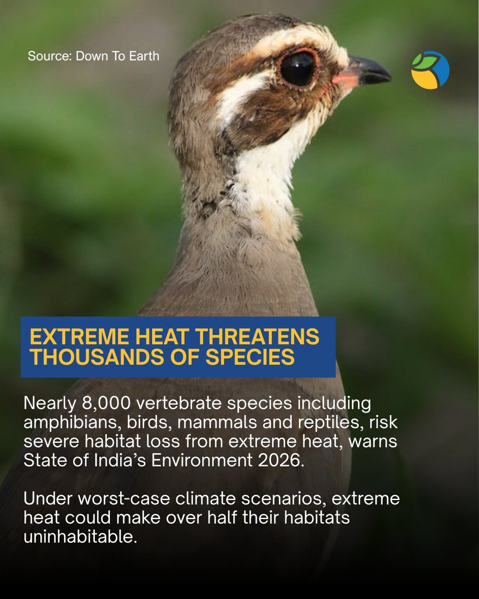 WOTRIndia's tweet photo. This Week in Climate : Developments impacting our shared future.
(Climate Change, Environment, Biodiversity, Extreme Heat, Wildlife, Sustainability, India, Global)
#WOTR #WOTRat32 #WOTR4Development #Climate #Environment l https://t.co/2yZbtwb8Jj