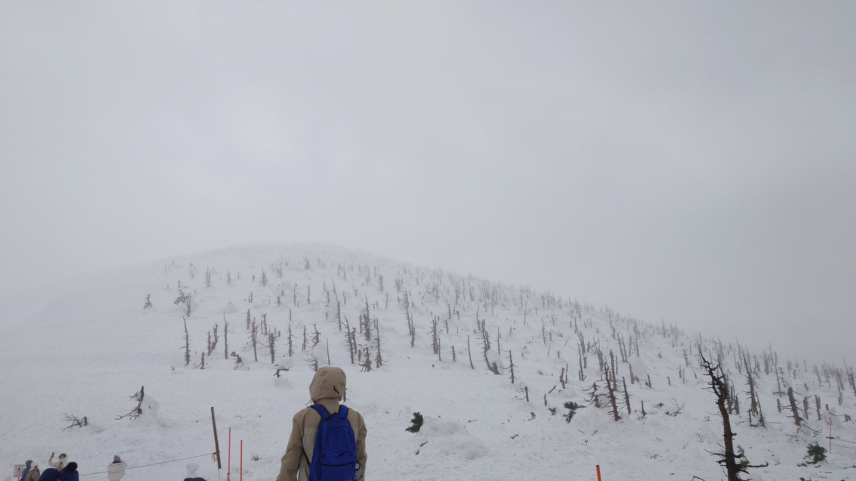 樹氷の木っててこんな枯れ枝ばかりなんだっけ？
それとも枯れてないけど生きてる感じなの？
