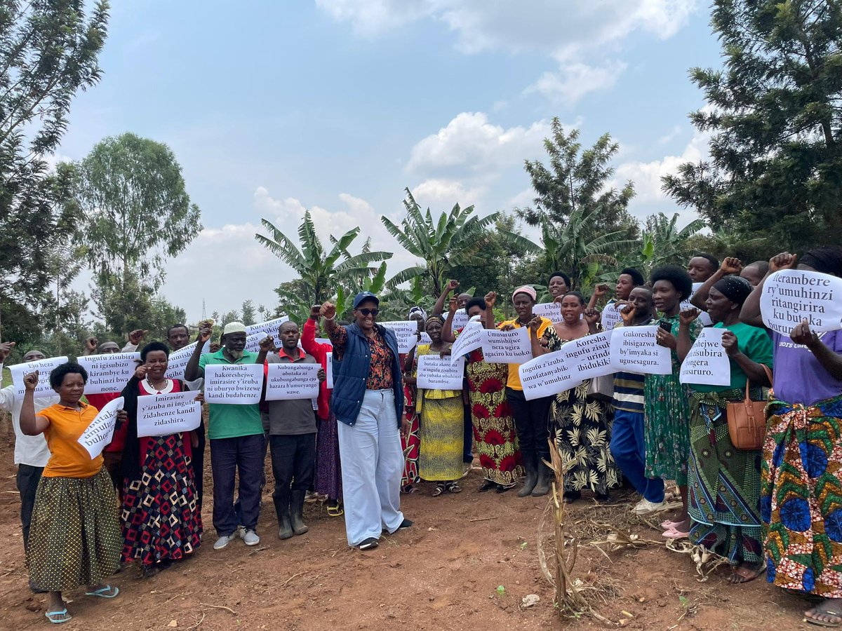 RccdnRwanda's tweet photo. RCCDN has officially commenced a strategic community outreach campaign to drive the adoption of the RA-PURE (Regenerative Agriculture – Productive Use of Renewable Energy) initiative. Starting in Mareba Sector of @BugeseraDistr, this mission marks a critical step in strengthening local engagement across the 6 districts of project implementation.
Synergy of Soil Health and Clean Energy Under the Power for Food Partnership (P4FP), and in collaboration with @PeacePdn, RCCDN is equipping farmers with the tools to transform their livelihoods. The outreach highlights the vital "nexus" between restorative farming and renewable technology; showing how soil health and clean energy work together to stabilize yields and protect the environment.
Farmers are therefore gaining hands-on expertise in:
1. Restorative Land Preparation: Techniques that rebuild soil organic matter and biodiversity.
2. Water & Moisture Management: Advanced mulching for weed suppression and soil moisture conservation.
3. Sustainable Resource Use: Integrating solar-powered irrigation and renewable energy to reduce dependency on costly synthetic inputs.
4. Climate Resilience: Building farming systems that withstand climate shocks while increasing long-term productivity.
Cultivating "Community Champions,” the core objective of this campaign is sustainability through knowledge-sharing. Trained farmers are being empowered as Community Champions, tasked with cascading their new skills to neighboring villages. This peer-to-peer model ensures the rapid adoption of #RA_PURE practices, creating a lasting impact at the grassroots level.
A Collaborative Vision for Rwanda, hence #P4FP is a multi-stakeholder effort led by @SNVRwanda and implemented by @RccdnRwanda, @kilimoEAC, @PeacePdn, @epd_rwanda , and @highlandcenter.
The project operates across Bugesera, Nyagatare, Rwamagana, Gatsibo, Kayonza, and Rubavu districts, fostering a future where Rwandan agriculture is productive, renewable, and environmentally responsible.
#P4FP #RAPURE #RegenerativeAgriculture #ClimateAction #SustainableFarming #RCCDN
