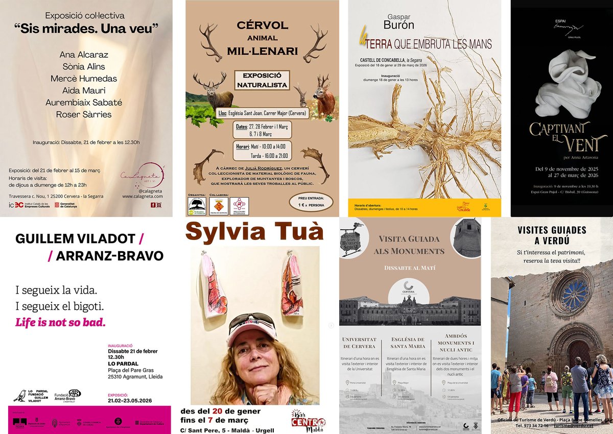 Som Segarra tweet media