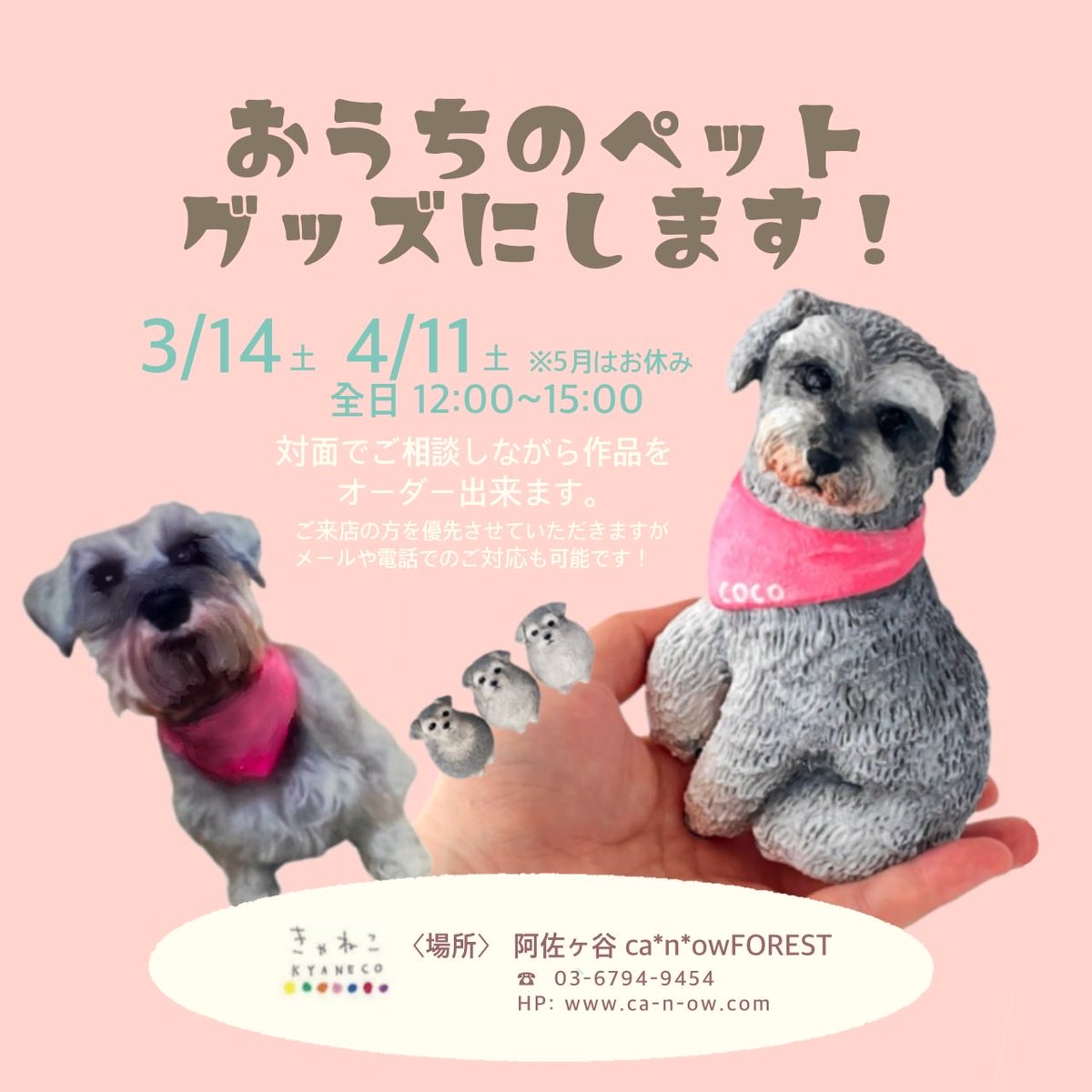 11月のオーダー分、お届け致します！ 次回のオーダー会は3/14(土)です！