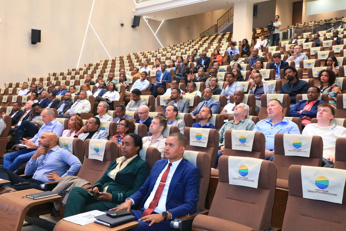 Addisu Arega Kitessa tweet media