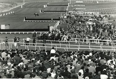 optimum racing tweet media