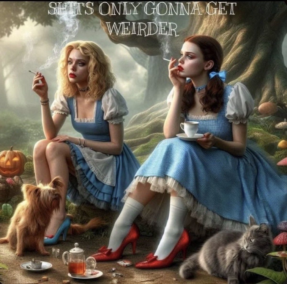 HellBoundAngel3's tweet photo. This pretty much sums up exactly what’s happening around the world these days I feel like Alice in wonderland a lot these days . https://t.co/3cEPqAYuIo