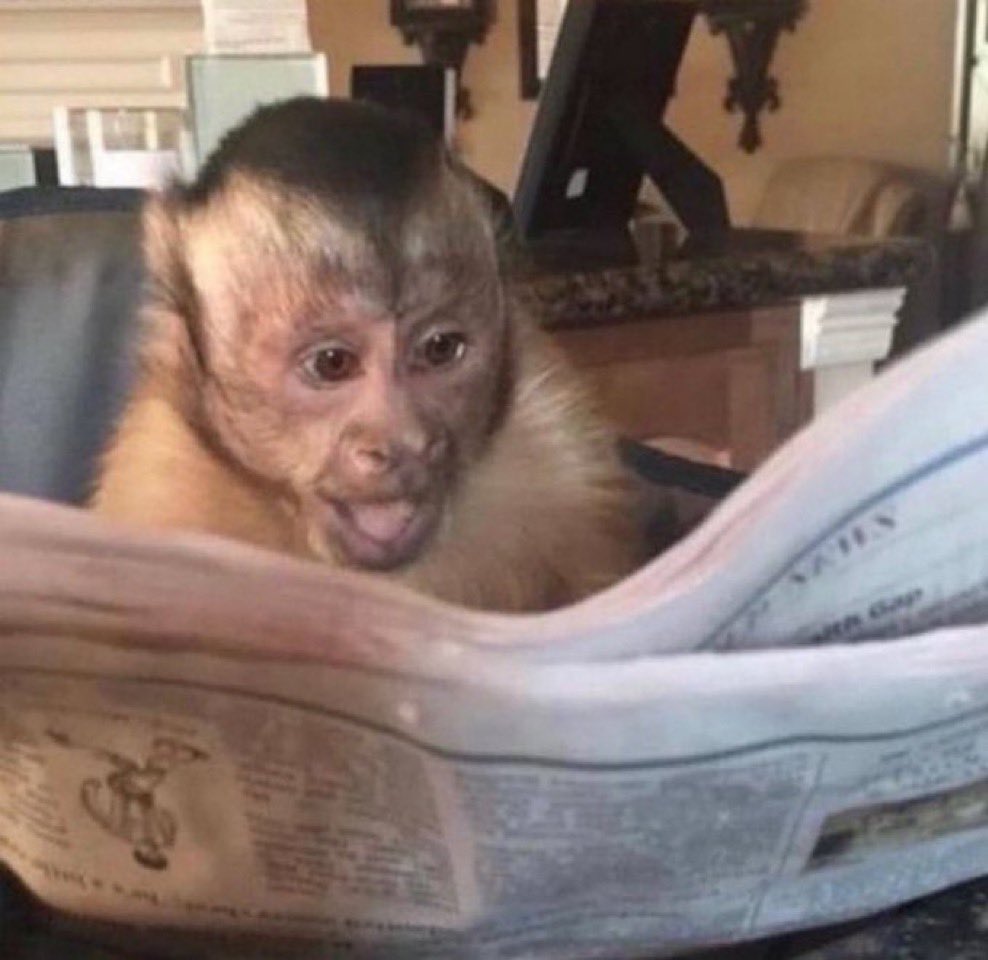 𝐆𝐥𝐨𝐫𝐢𝐨𝐮𝐬 tweet media