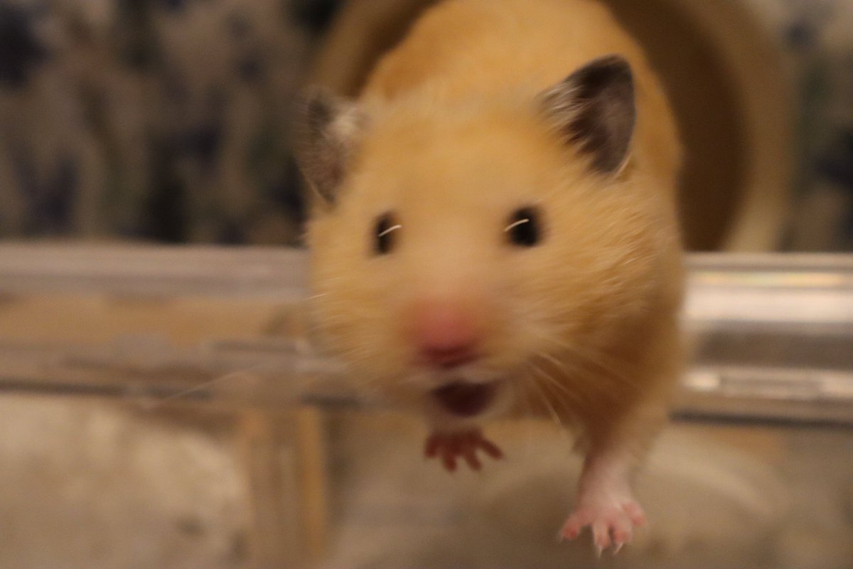 これはこれで気に入っている写真。