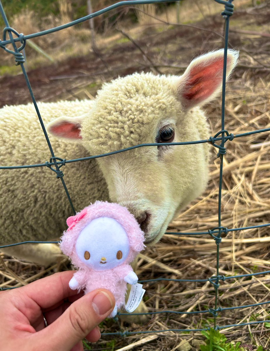 先祖に鼻汁付けられピアノ。