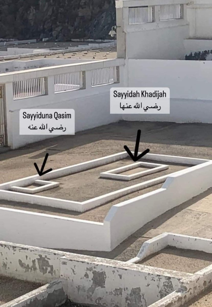 محمد توحيد مہربان tweet media