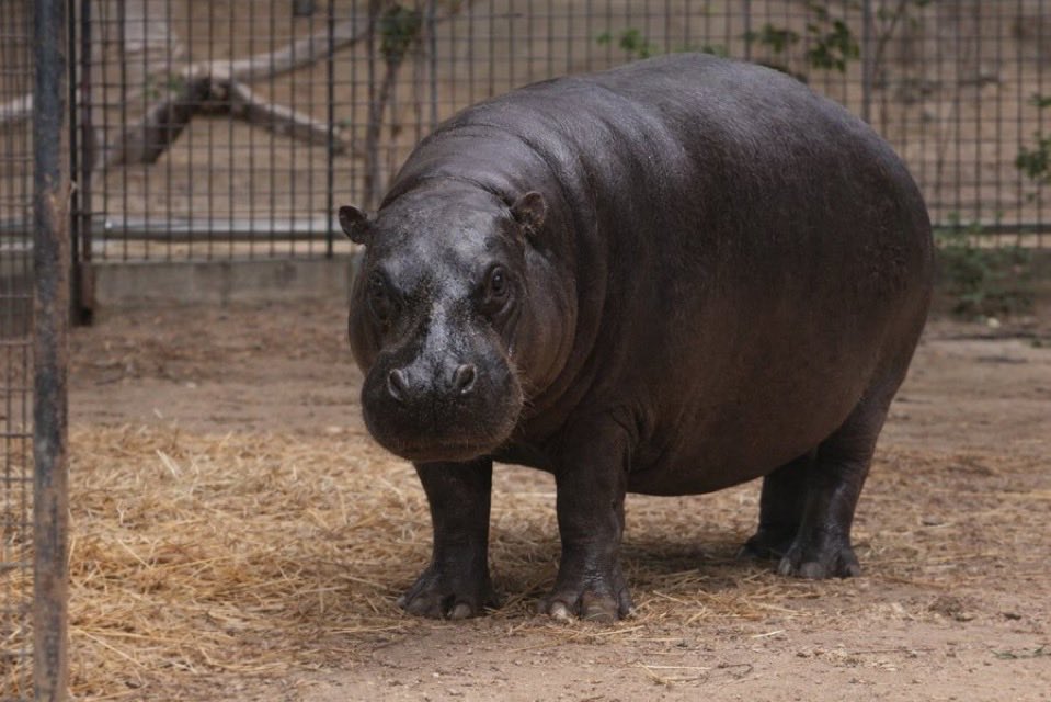 Dad is lonely, but he always protects his family.
$jellybean's dad $Tootsie.

7Lu6Bev33VLbefarMDN5KcKAUBUQF7o63VfypoSVpump