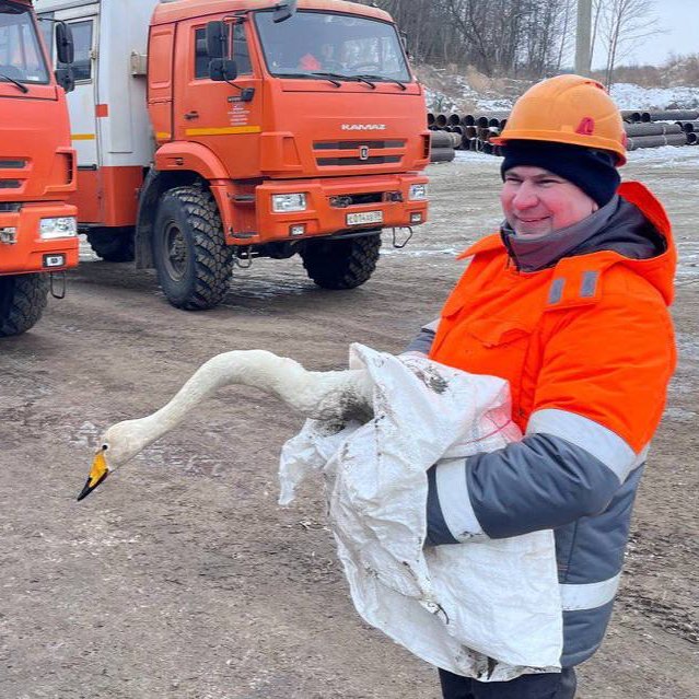 Kaliningrad Region tweet media