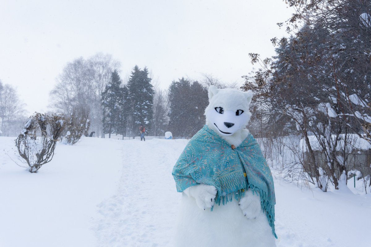 しろくまのノーティカ tweet media