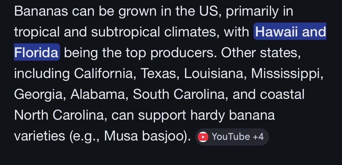 The Average Vols Fan tweet media