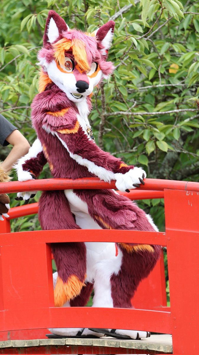 Prerayd 🔜 #ATT1 tweet media