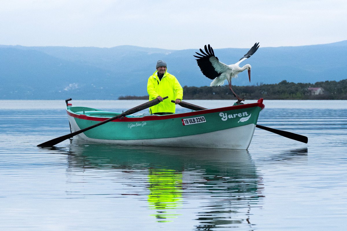 Yaren bu sene de gelmiş… 

Küçük Prens kitabında ne diyordu:
“Ölene kadar sorumlusun gönül bağı kurduğun her şeyden.” 👑 

(Fotoğraf: Alper Tüydeş)