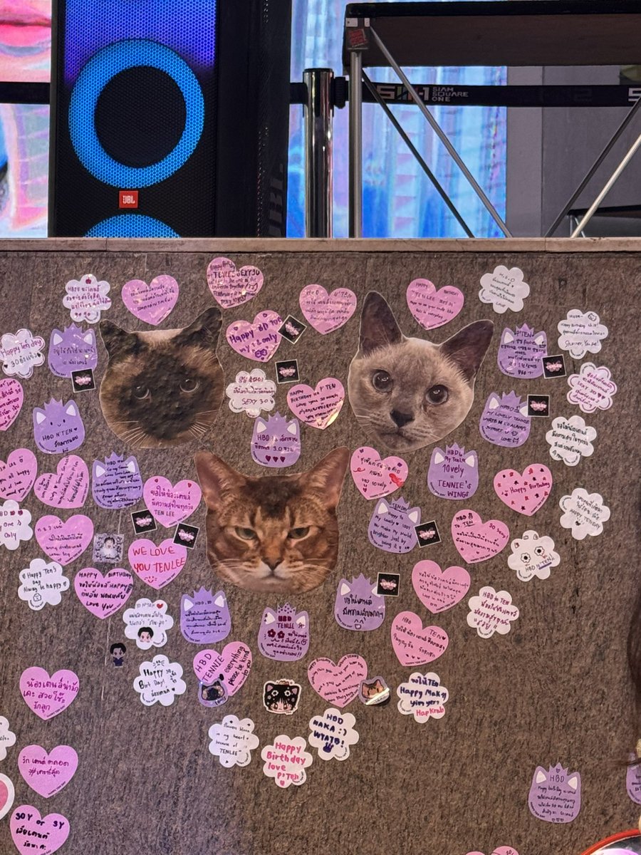 มุมนี้เซเลปมาก 🐱🐱🐱 #HAPPYTENDAY