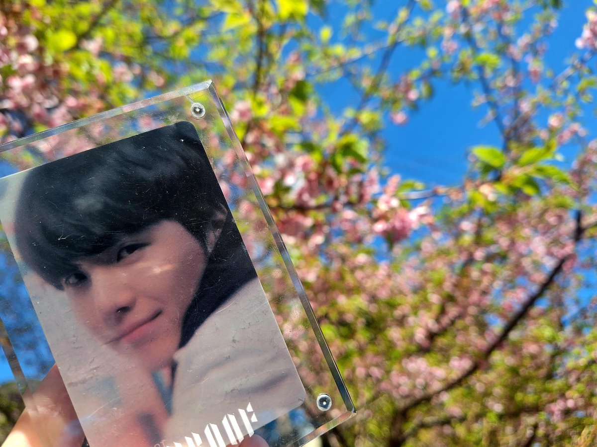 会いたかった人たちに会いに少し遠出

お参りでは
家族の健康と幸せだけを祈った

チケットのご縁に触れなかったのは
謙虚なふりをした
小さな打算だったのかもしれない

想いの強さも
欲の深さも
日頃の振る舞いも
関係なくただの運だとは分かっているのに
やっぱり少し落ち込む

それでも
粛々と次へ