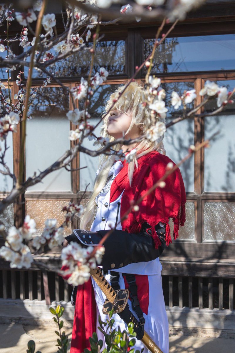 #飯屋の写真館

⚠︎︎Cosplay⚠︎︎

​───────

菊と梅

​───────

photo： #SaSastudio1156