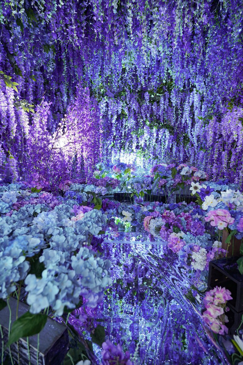 こんばんは、こむやです🐱💠
四季のブースのテーマが藤と紫陽花になりました。壁と天井に隙間なく花を使い、森のような空間になっています。開催期間は6月28日までとなります。
皆様のご予約お待ちしております🙇‍♀️✨
返信に別の写真が続きます(1/3)