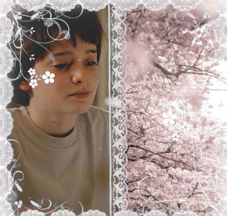 soff ♡ | shedtwt (-7/26) tweet media