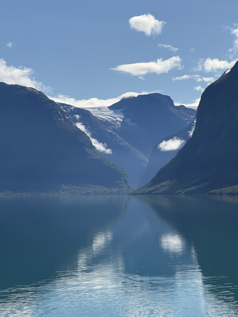 Jaana Dogan ヤナ ドガン tweet media