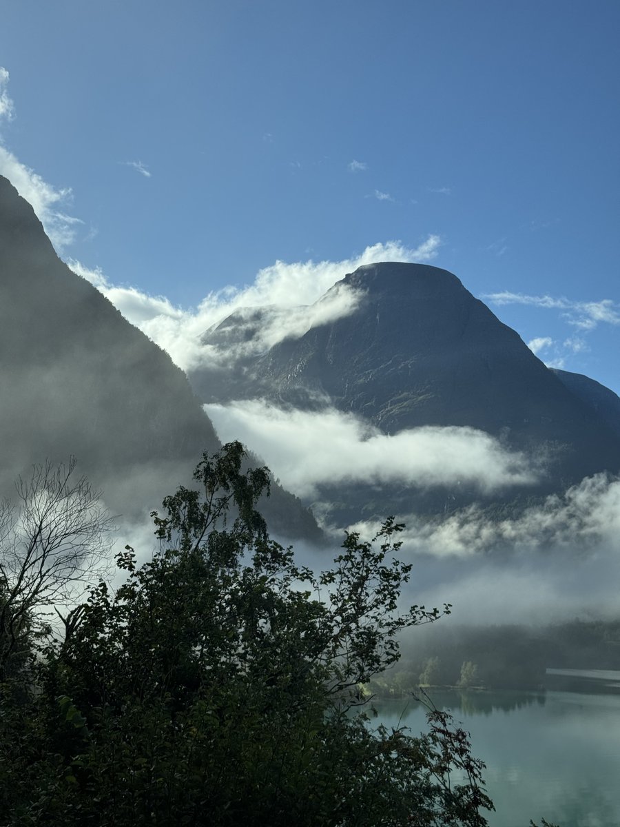 Jaana Dogan ヤナ ドガン tweet media