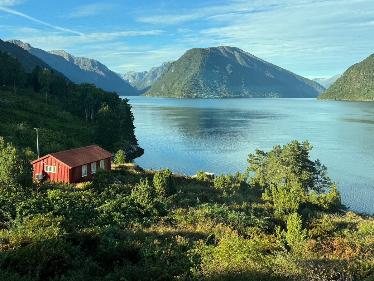 Jaana Dogan ヤナ ドガン tweet media