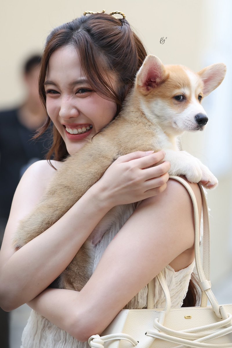 น้องหมา เหมือนอยากพูดอะไรสักอย่าง

Fundao Lupo
#FundaoLupoXfreen 
#FundaoLupo #srchafreen‌‌