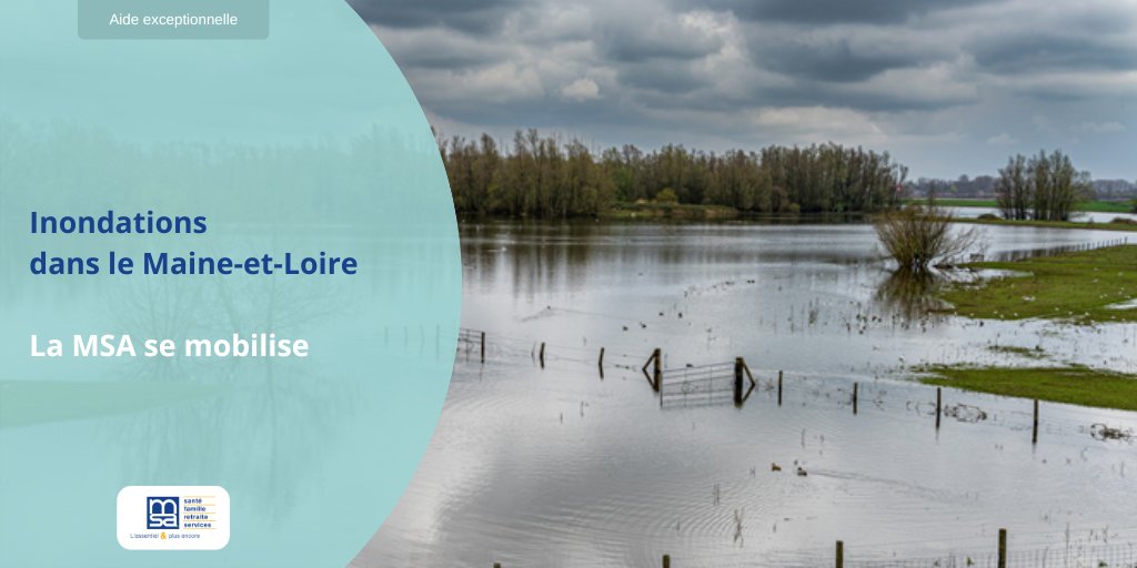 MSA de Maine-et-Loire tweet media