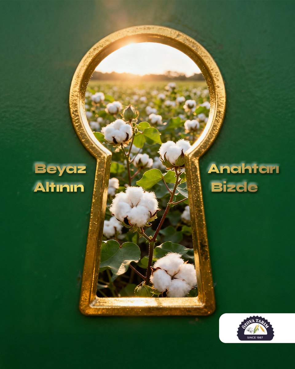 Beyaz altının anahtarı bizde; pamuk üretiminde, çırçır fabrikamızda bölgenin en yüksek makine kapasitesiyle ürünleri işleyerek yüksek kalite standartlarına ulaştırıyor, her lifine değer katıyoruz. 🤍🌾

#beyazaltin #pamukuretimi #circirfabrikasi #tarimsanayii #kaliteuretimi