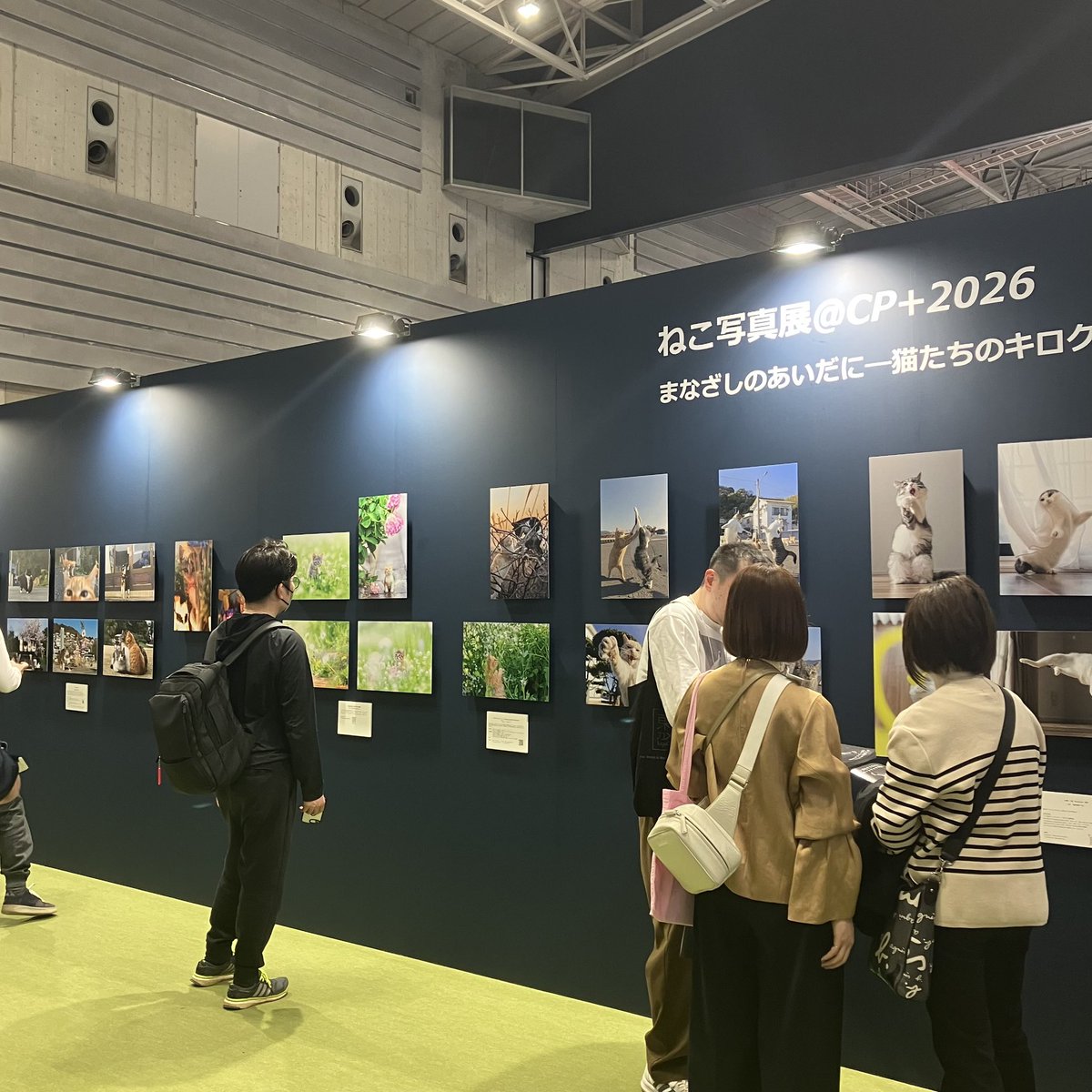cpplusjp's tweet photo. 2日目も無事終了！
本日もたくさんのご来場ありがとうございました✨

🐈ねこ写真展@ CP+2026🐈‍⬛
会期中の様子💭

毎年大人気のねこ写真展💖
数量限定で可愛いポストカードの配布もあります！
お気に入りの絵柄を是非ゲットしてください🐱