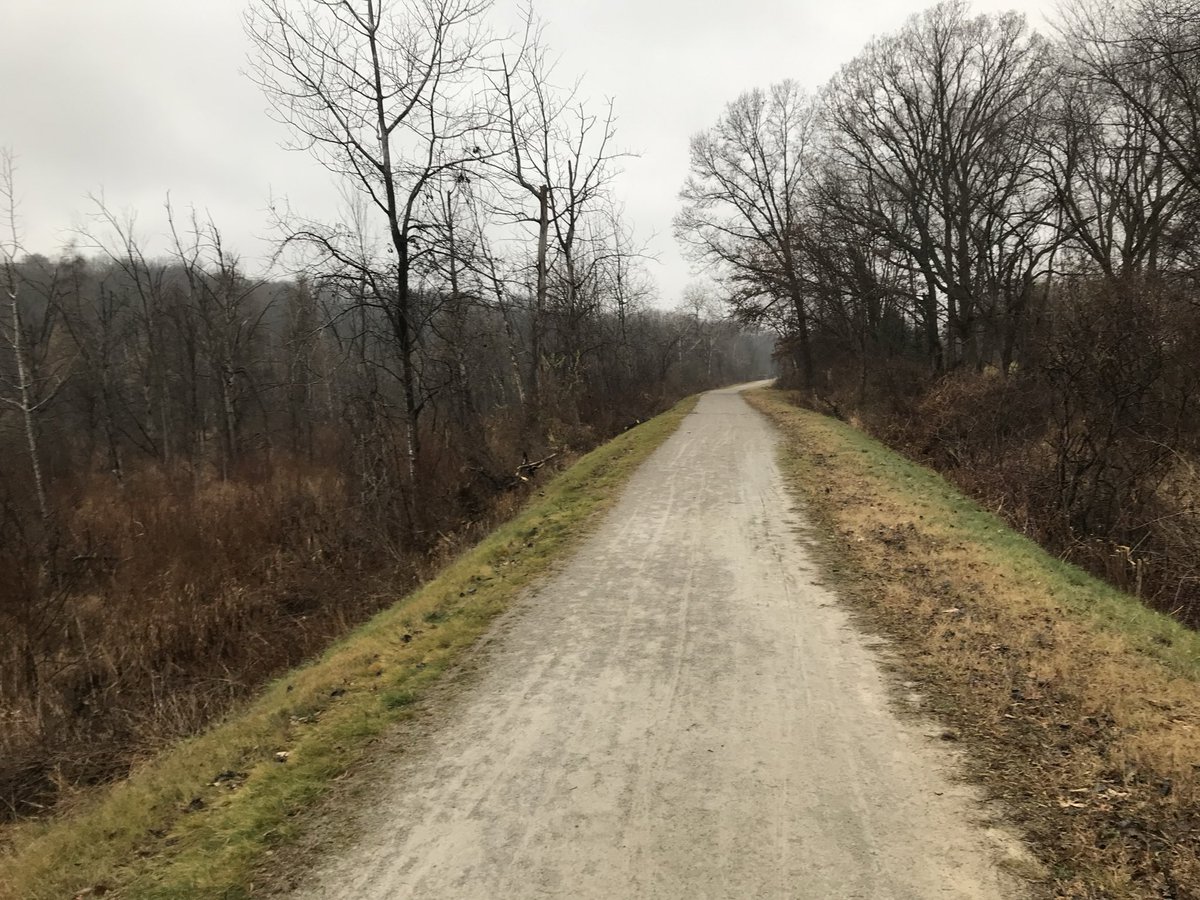 SoulSchism tweet media