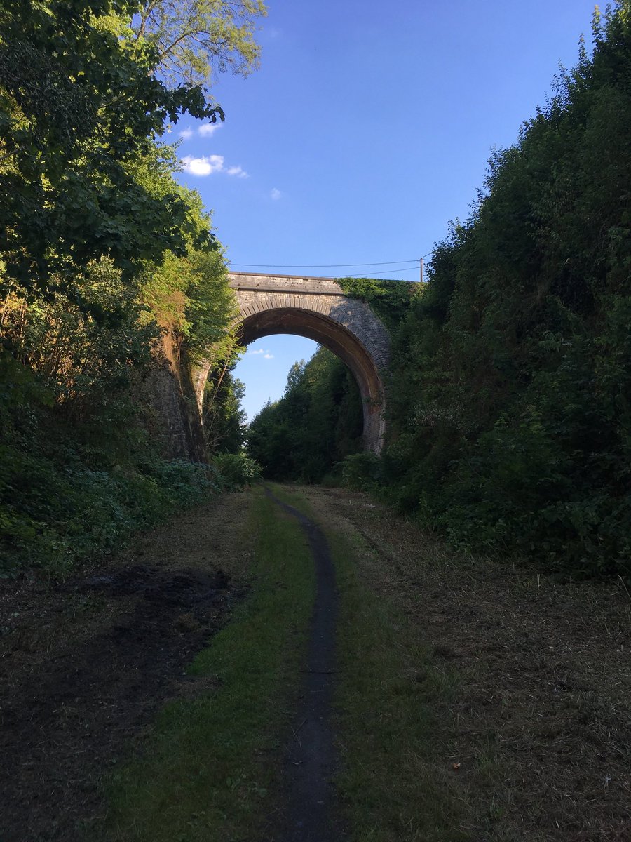 𝔽abian 𝔹ezaan tweet media