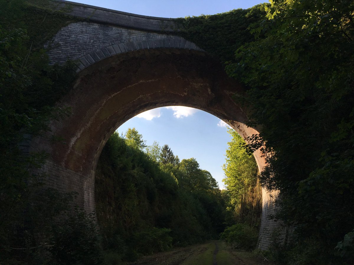 𝔽abian 𝔹ezaan tweet media