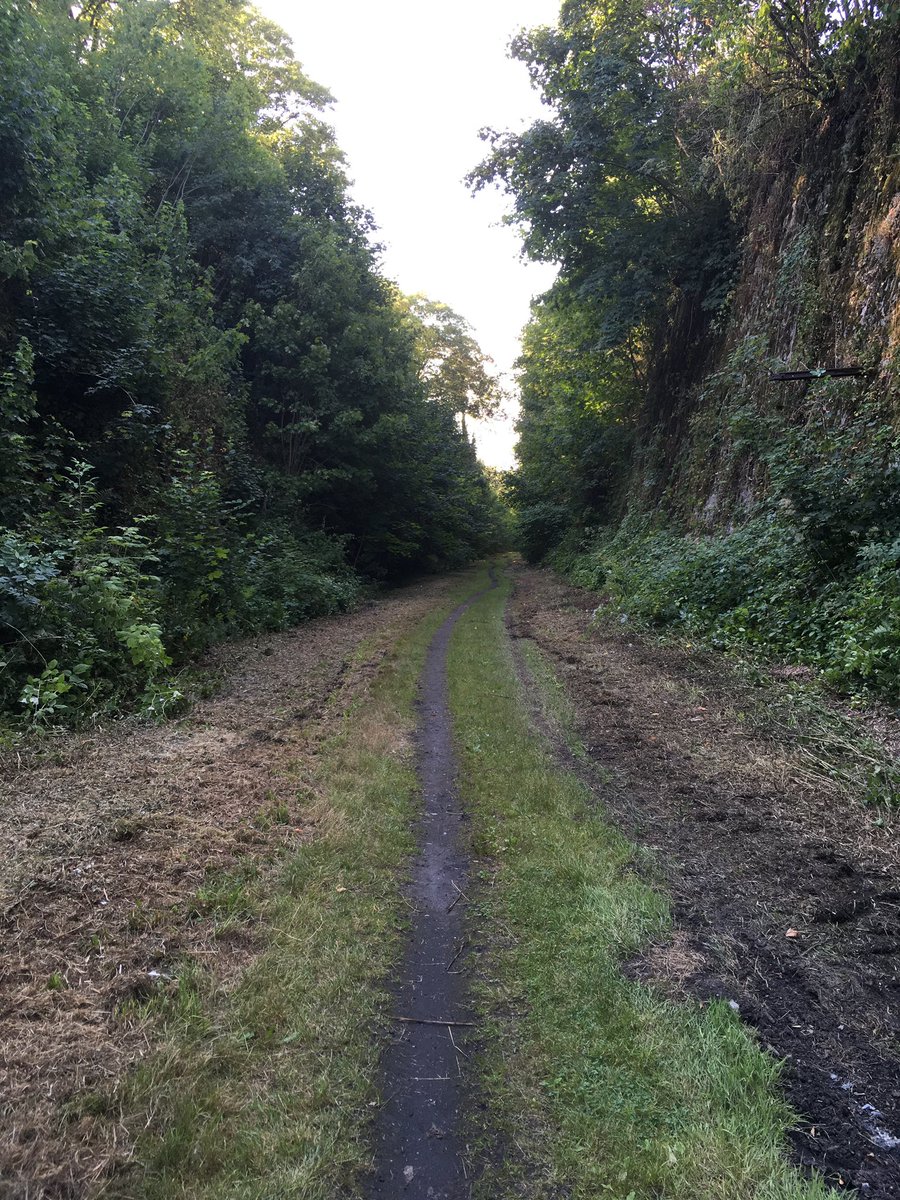 𝔽abian 𝔹ezaan tweet media