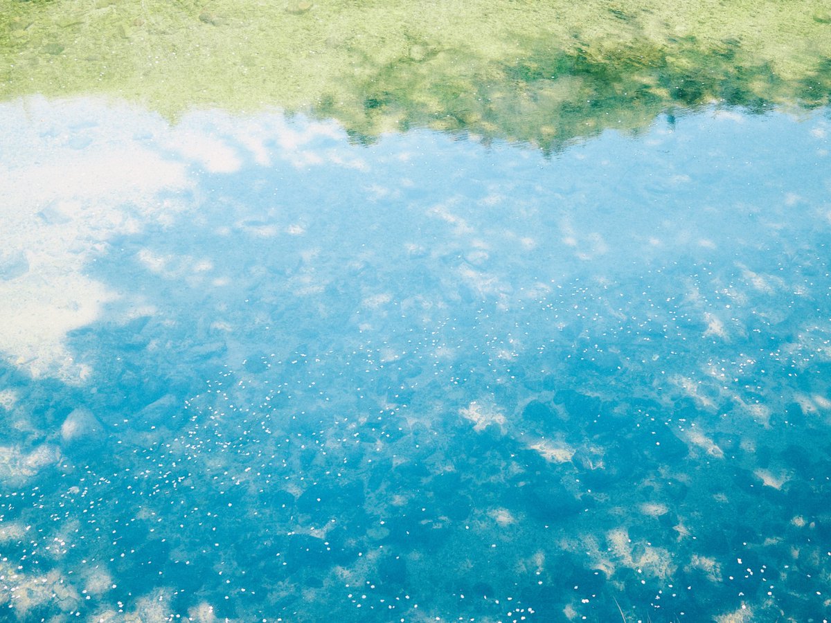 naotokirimare's tweet photo. X100Ⅵ https://t.co/gorGSJijPi