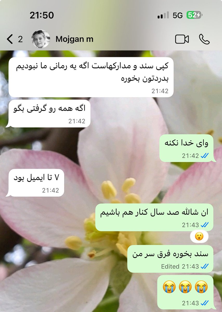 Samaneh M tweet media