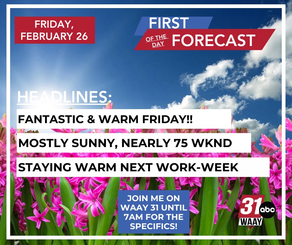 Grace Anello Tuberville tweet media