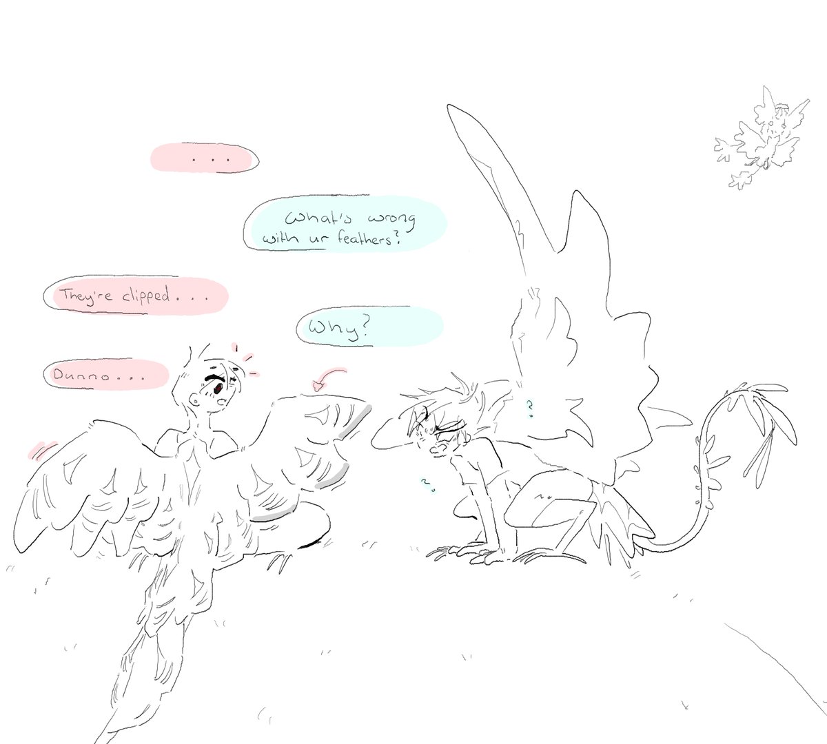 A bird that isn't flight trained gets it's feathers clipped

#ivantill #tillvan