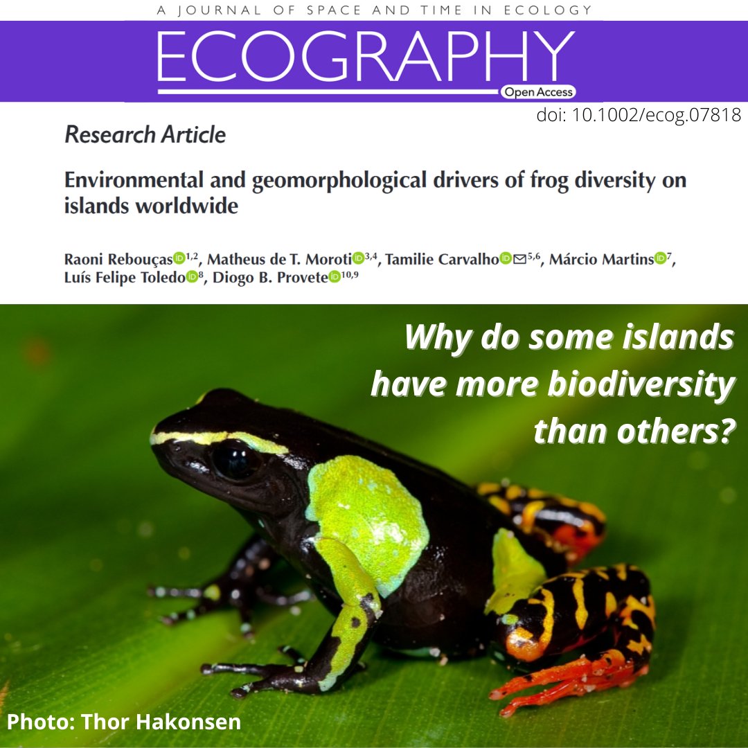 Matheus Moroti tweet media