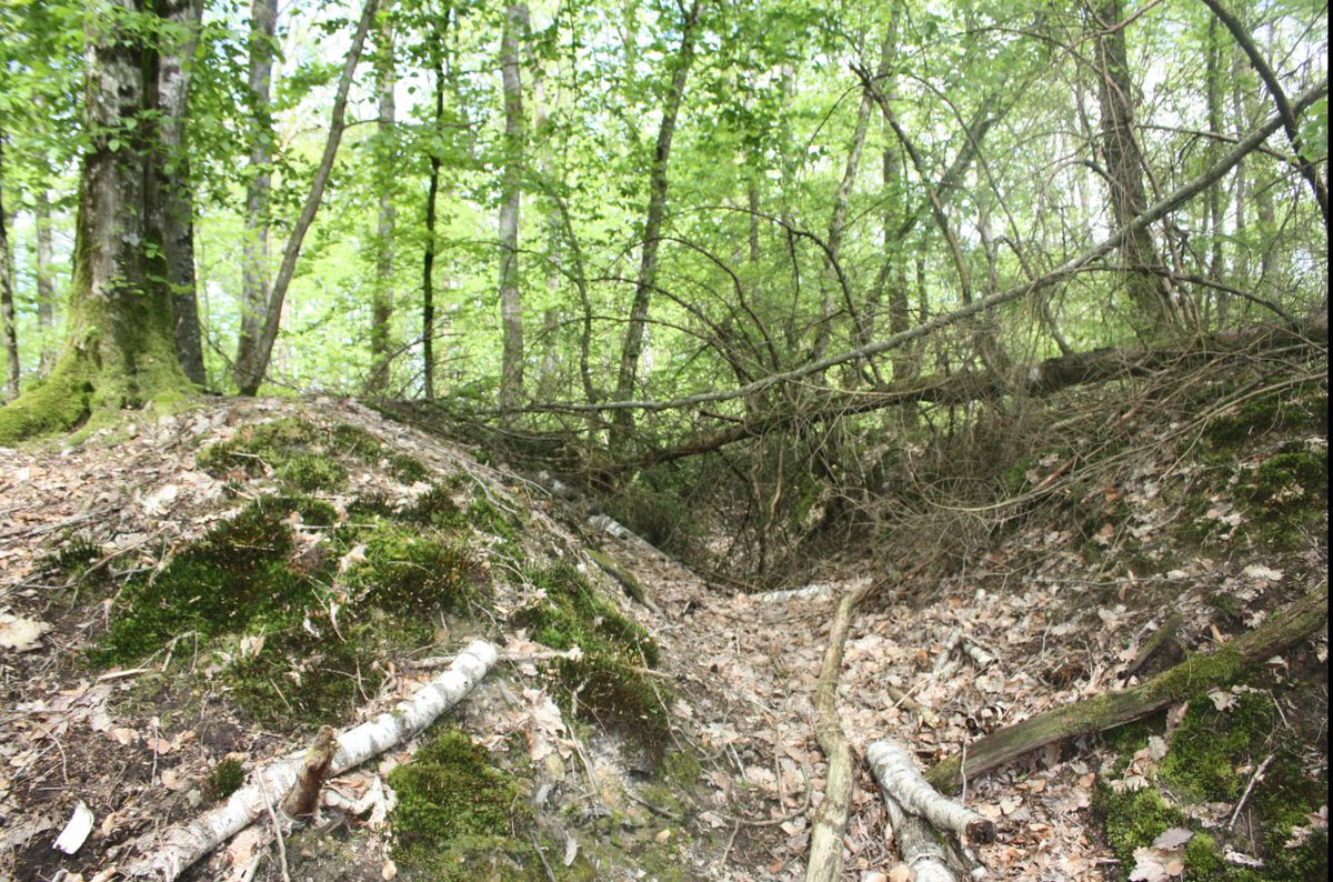 Discovering the frontline and beyond. tweet media