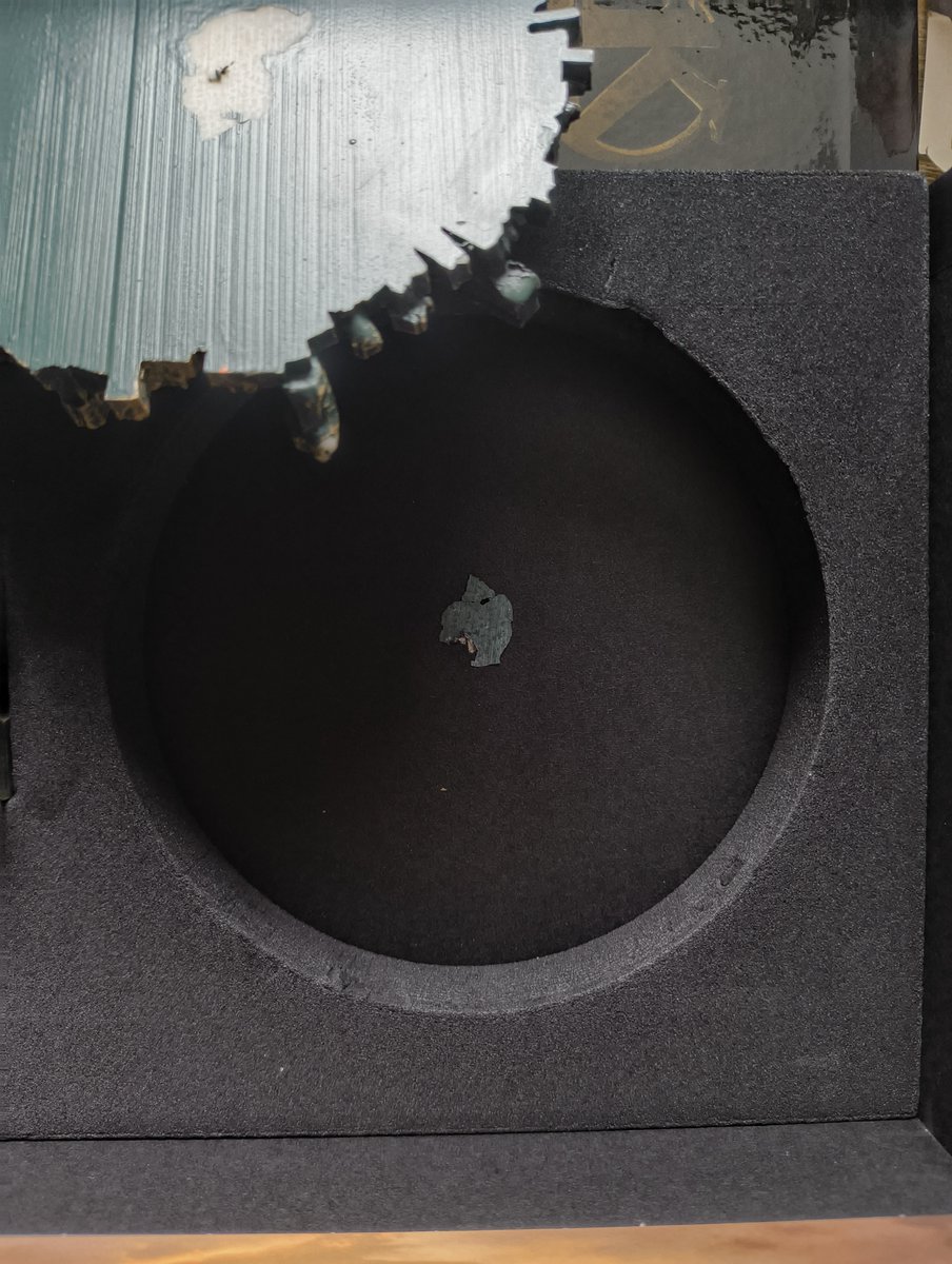 𝓟𝓼𝔂𝓬𝓱𝓸_𝓒𝓪𝓽🐦 tweet media