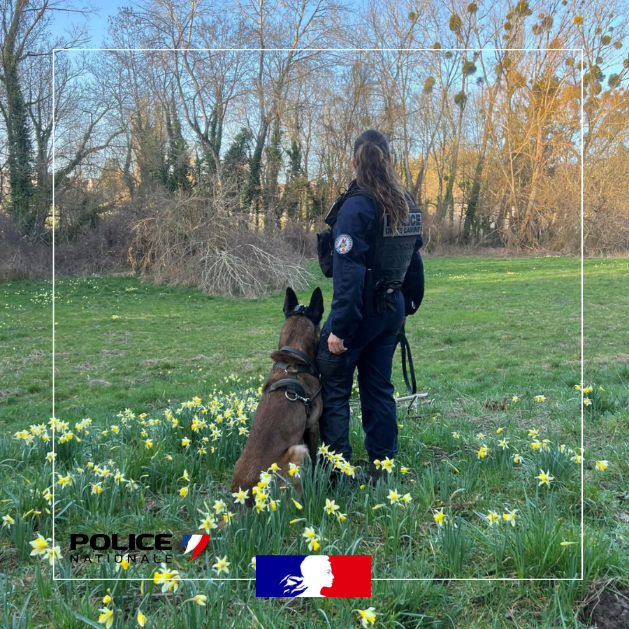 Police nationale 77 tweet media