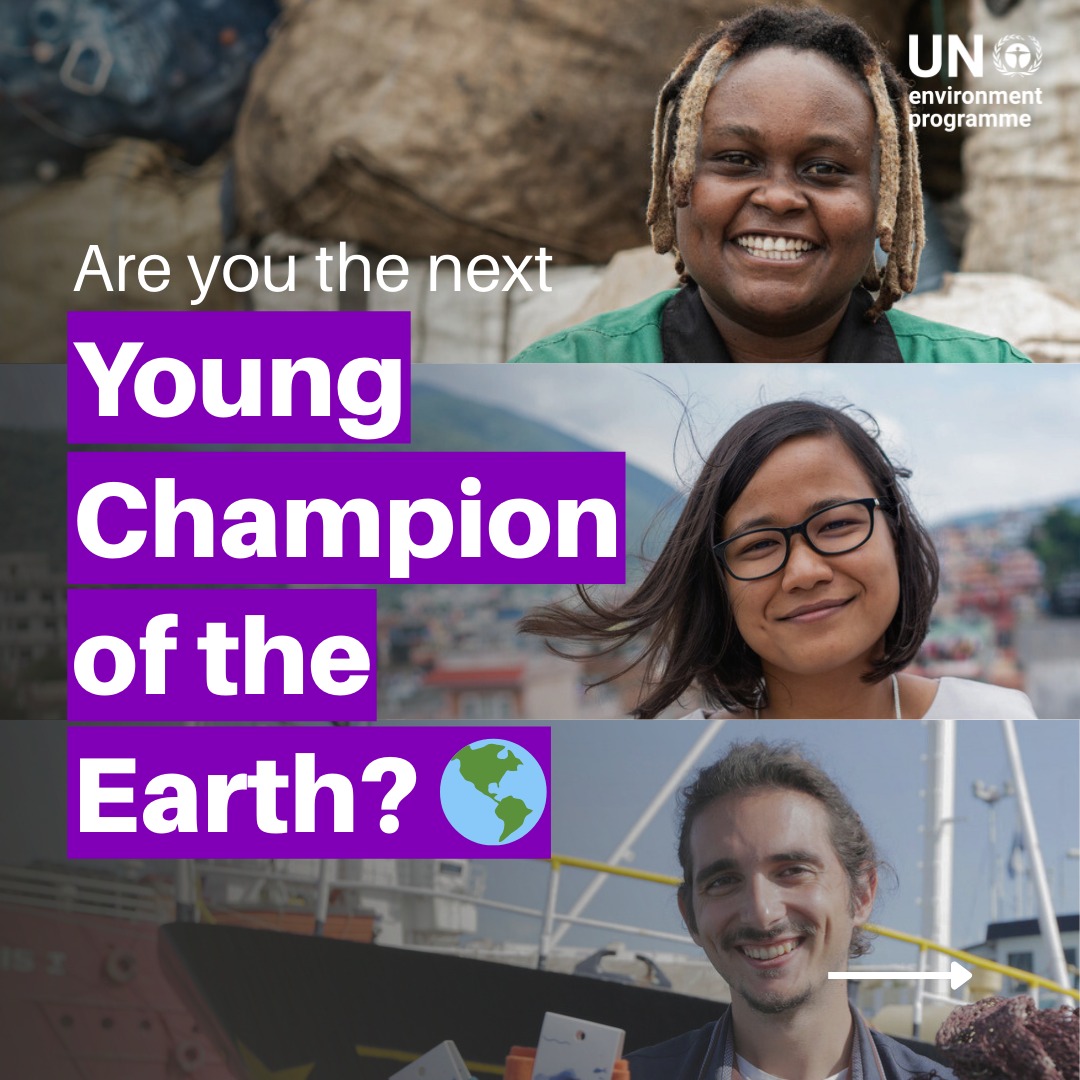 UNinGhana's tweet photo. Are you a young innovator aged 18–30 with an idea for the planet? 🌍

UNEP’s #YoungChamps programme awards young entrepreneurs with public recognition, money allocation, training, mentorship, and more.
 Apply before 31 March.

https://t.co/pBSyGk7u8e https://t.co/IR6fd4ftmA