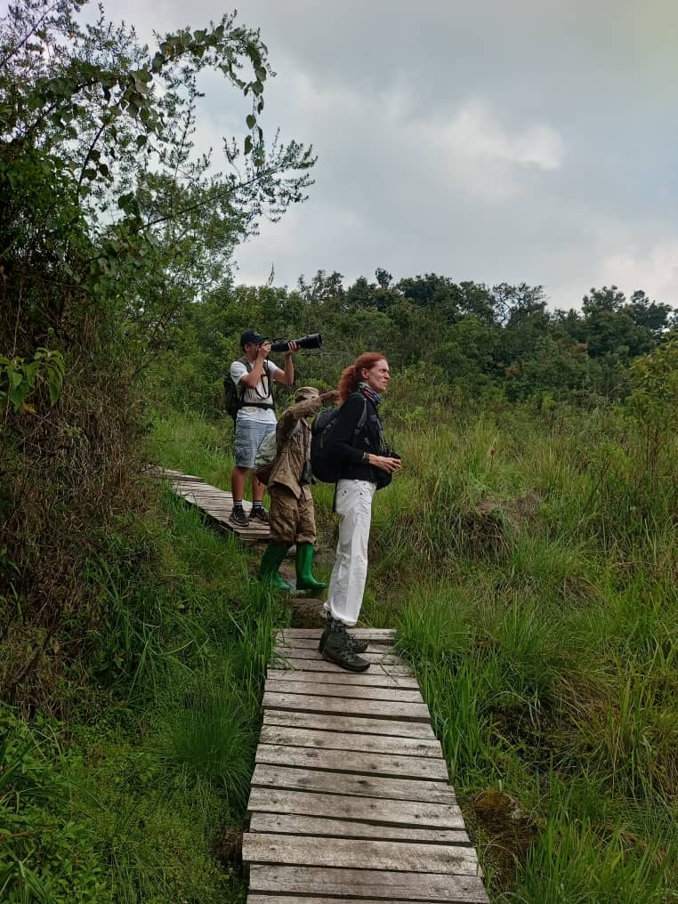 TambourineSafa1's tweet photo. An excellent target hit while searching for the Albertine Endemic species. Catch up with us,https://t.co/QVVOgwqKK8
#Albertineendemics #seenwanders #wildlifephotography #wildlifesafari #birdingexperience #Gamedrive #primateapesexperience #safaridiscovery #naturesuprise https://t.co/0QTRosCZYN