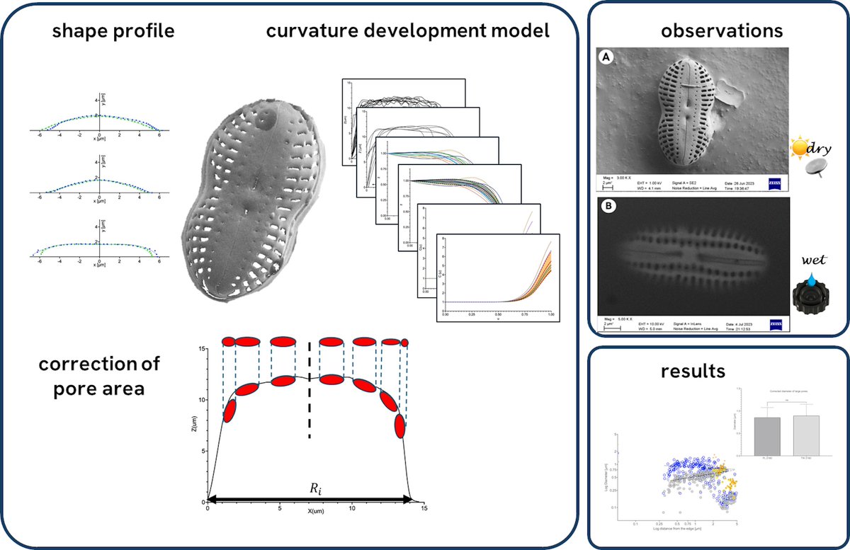 JournalofMicroscopy tweet media