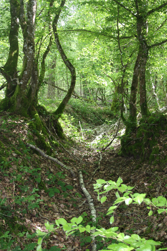 Discovering the frontline and beyond. tweet media