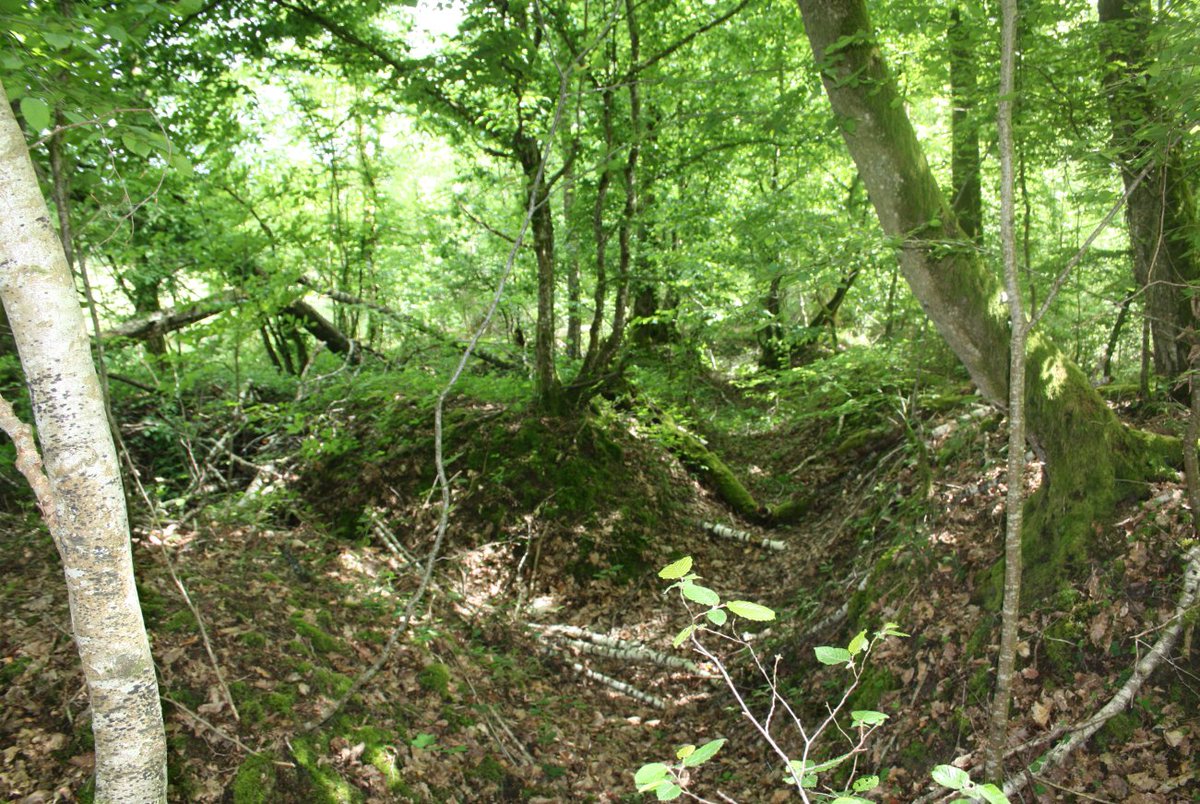 Discovering the frontline and beyond. tweet media