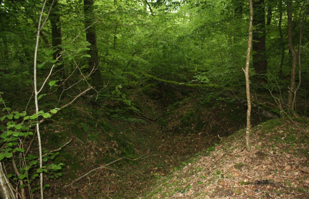 Discovering the frontline and beyond. tweet media