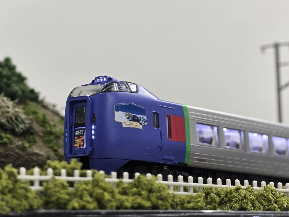 🍚ぽち塚本店🍚 北の方から珍客が入ってきましたよ～‼️ お手頃サイズ